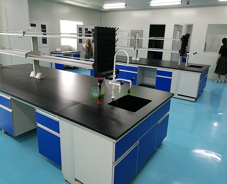 深圳愛(ài)生再生生物實(shí)驗(yàn)室凈化車間